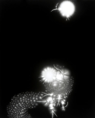 Illustration for article titled Capturing the Veined Beauty of Lightning